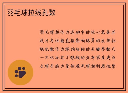 羽毛球拉线孔数