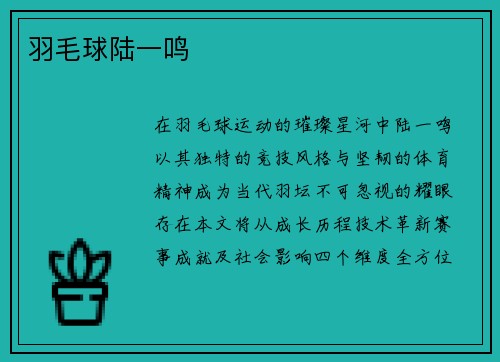 羽毛球陆一鸣